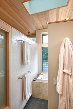 Mid-Century Sanctuary (Cushing Terrell)