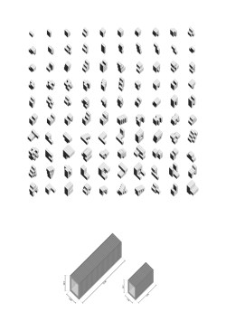 #YongeCity, Taxonomy