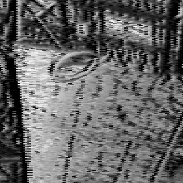 The+photograph+was+cropped+and+manipulated.