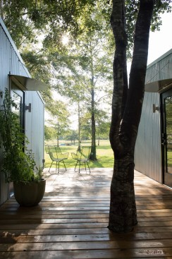 Deck and tree