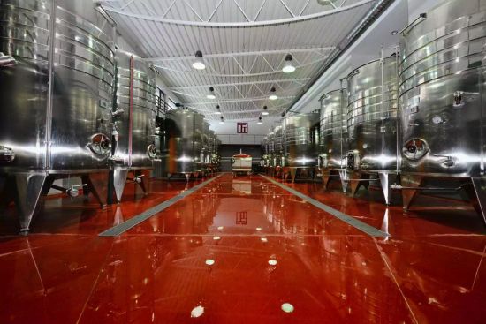 Temet winery in Lozovik