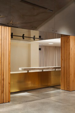 Michael Sela Auditorium_Weizmann Institute of Science_HQ Architects_Foyer bar detail 