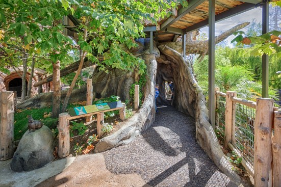  The Treehouse anchors the Zoo and creates a structure for kids to explore freely.
