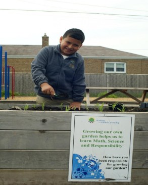 The existing garden at the Academy for Global Citizenship