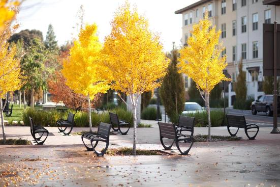 Trio Benches shown in 6 foot, backed configuration with Black Texture powdercoated frame, extruded aluminum slats and two armrests at BART, Pleasant Hill/Contra Costa Centre Station, Walnut Creek, California