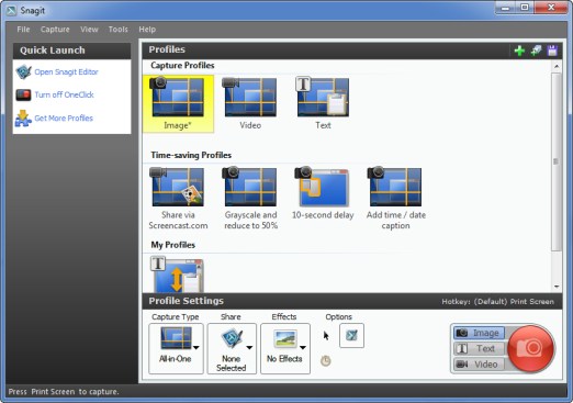 SnagIt allows for user-defined screen captures.