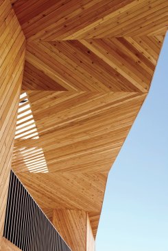 Canopy detail.