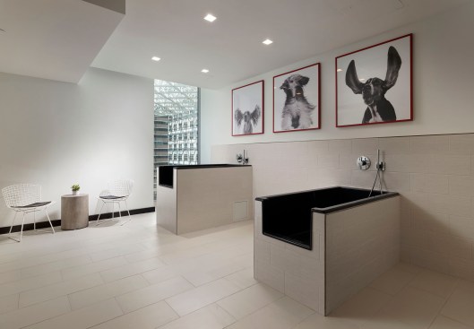 Indoor pet salon with grooming and washing stations.