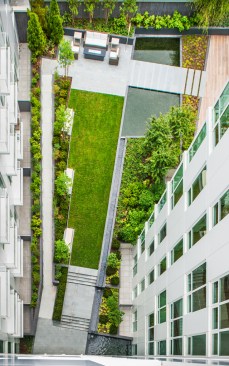 View of Courtyard from Penthouse Level