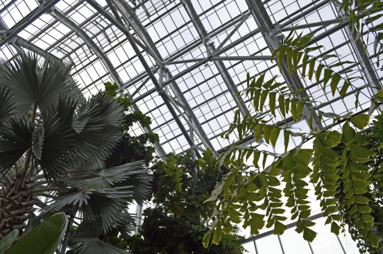The five-story Lena Meijer Tropical Conservatory, built of hot-dip galvanized steel, houses a waterfall, rock landscapes, and many exotic plants.