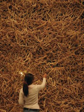 "Aggregates," an installation that Newell collaborated on with Anne Hawkins at Rice University.