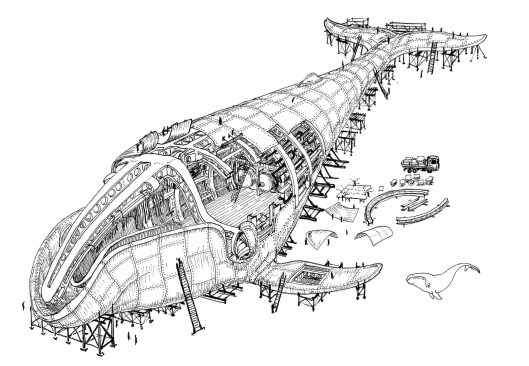 On the occasion of a 2013 architecture conference in Vigo, Spain, French cartoonist Alexandre Doucin created a series of images that tell the tale of Govi, a mechanical whale. The images were installed on the façade of an industrial building.