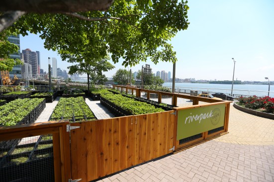 430 and 450 East 29th Street, New York City – (Alexandria Center for Life Science – New York City courtyard); (Riverpark Farm at Alexandria Center)