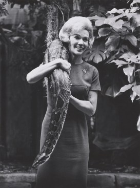 Aline Louchheim in the 60s