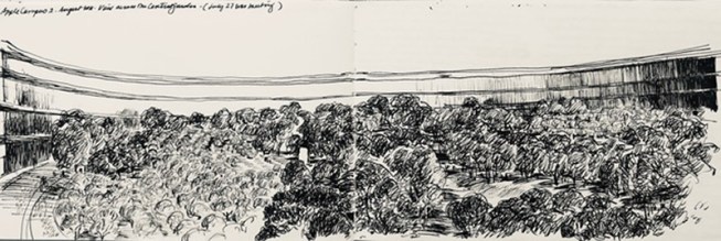 A sketch by Laurie Olin of the Apple Park central garden