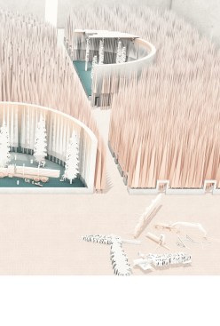 An image of “Theater of Deforestation" in the book