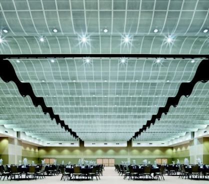 Product: SERPENTINA&reg; Semi-Concealed 2' x 6' in Silver Satin 
&nbsp; 
Project: Tulsa Convention Center, Tulsa, OK 
&nbsp; 
Architect: MATRIX Architects, Tulsa, OK