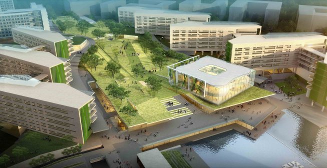 The+Green+Belt+and+the+Library