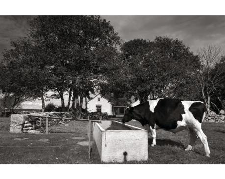 View from the cow pasture.