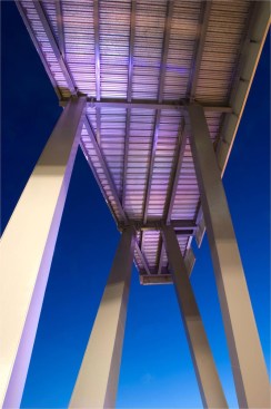 VIEW FROM THE BOTTOm