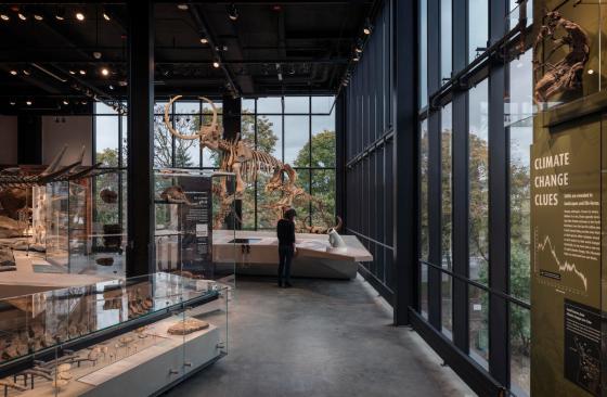 The Burke Museum | Olson Kundig