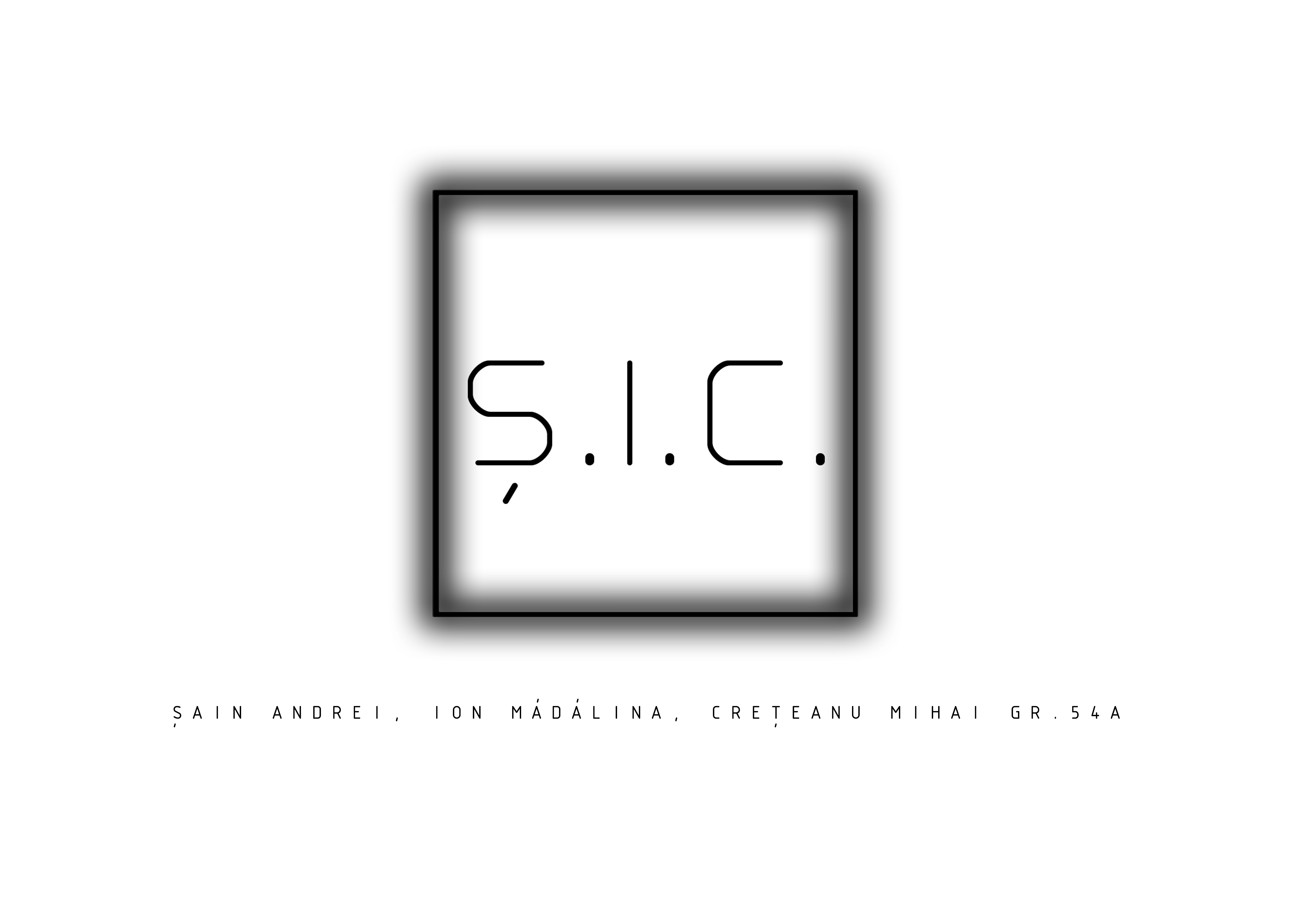 SIC team