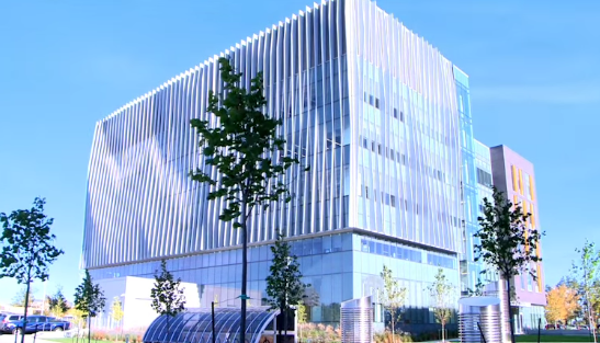 The undulating pattern of vertical sun shades enlivens the façade creating a dynamic effect as sun and shadow move across the building.