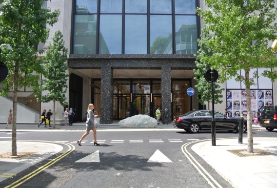 Liquidambar styraciflua species has been selected for its shape and appropriateness to urban conditions.