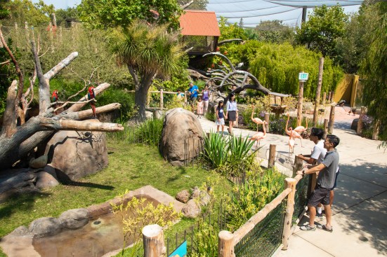  The Zoo is layered with natural elements from various viewpoints.