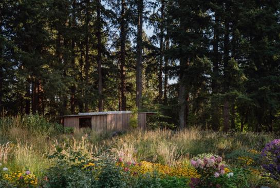 Leach Botanical Garden - The Upper Garden | Olson Kundig