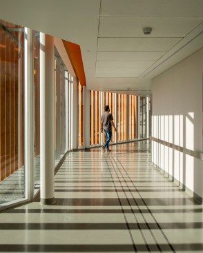 The Spine: Internal corridor_light and shadow