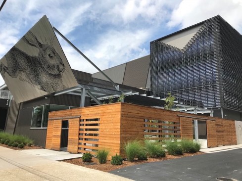 Natural wood around the courtyard is a warm complement to the multifaceted metal exterior.