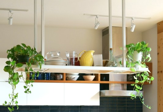 Brooklyn Townhouse Renovation - Kitchen 