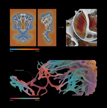 Material parametrization (clockwise from top left): Distance-field between fibers and support structure; mapping the distance-field to fiber geometry; the geodesic distance-field within the support structure to control rigidity and flexibility of the print material.