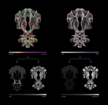 Material mapping (left column): Mapping the material's flexibility based on geometry parameterization—flexible materials in the neck and along the fibers allow for movement; (right column): Mapping the material's transluency. The support structure is opaque while the fibers have a graded transluency.