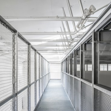 Ramp, showing wire mesh guardrail, with view into gallery interior at right 
