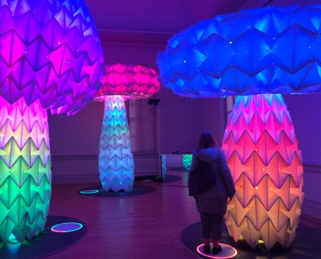 Shrumen Lumen by the FoldHaus Art Collective