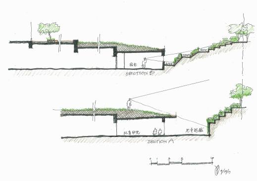 section