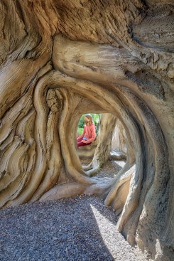 Kids exploring underneath The Treehouse.