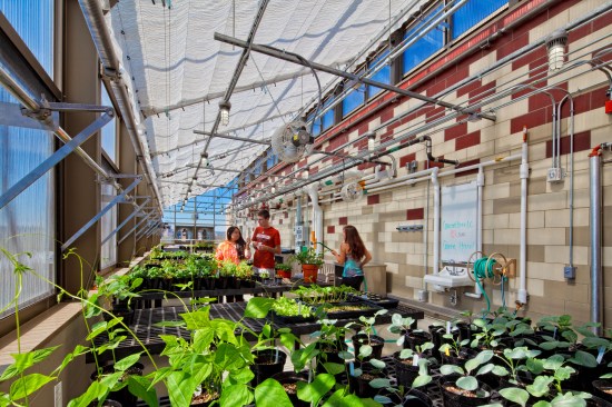 Rooftop Greenhouse