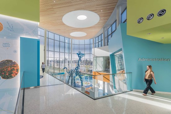 Life Center, Level 2 uses a variety of geometric shapes acting as destination points to humanize the life center’s grand scale while reinforcing intuitive wayfinding. 