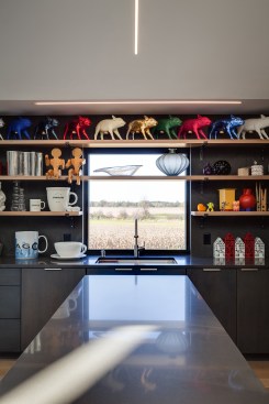 Kitchen and Display Case