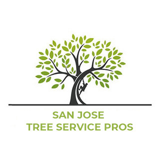 San Jose Tree Service Pros