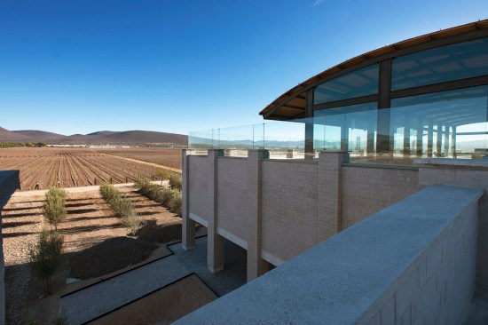 Viñedo de Cote - Serrano Monjaraz Arquitectos