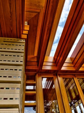 Roof+trellis