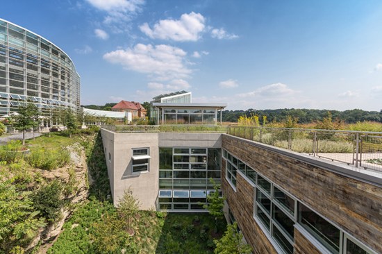 Photo Credit: Walter Tien/The Design Alliance Architects
