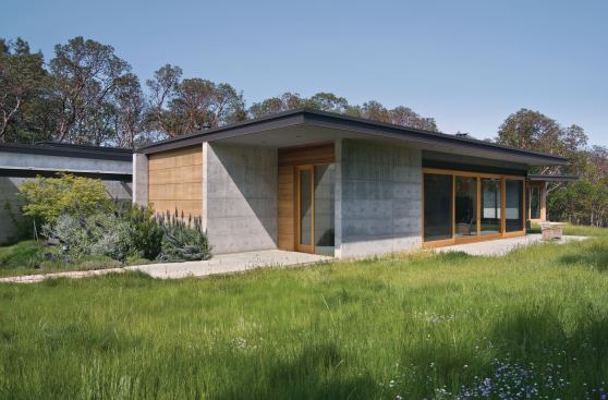 Native grasses, which require little or no watering, naturally go dormant during Northern California's annual dry season.