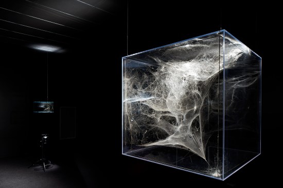 Tomás Saraceno's spiderwebs exhibit, which magically displays the wondrous geometries of nature