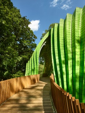 View of pathway