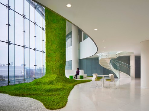 Bright colors were used to signify larger gathering spaces such as an indoor garden where employees can find respite and collaborate outside the laboratories.